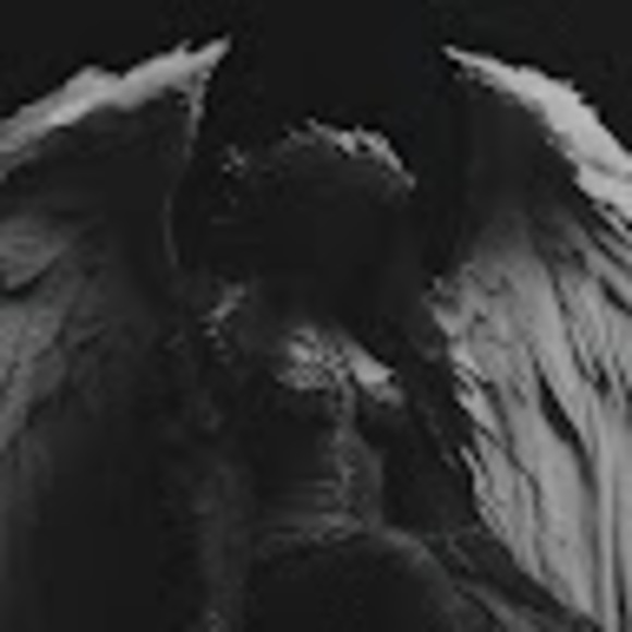 Meet your Posher, Vanessa - Picture 1 of 1